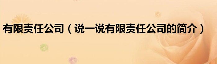 有限责任公司（说一说有限责任公司的简介）