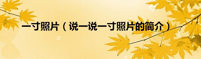 一寸照片（说一说一寸照片的简介）