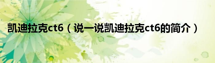 凯迪拉克ct6（说一说凯迪拉克ct6的简介）