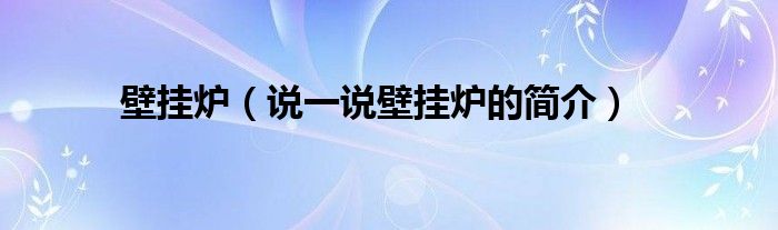 壁挂炉（说一说壁挂炉的简介）