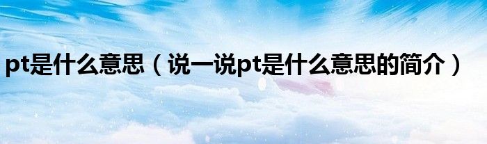 pt是什么意思（说一说pt是什么意思的简介）