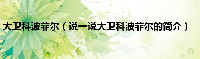 大卫科波菲尔（说一说大卫科波菲尔的简介）