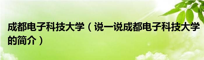 成都电子科技大学（说一说成都电子科技大学的简介）