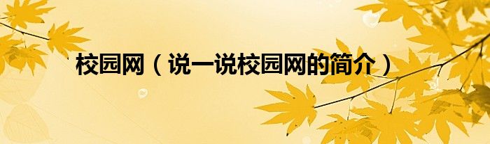 校园网（说一说校园网的简介）