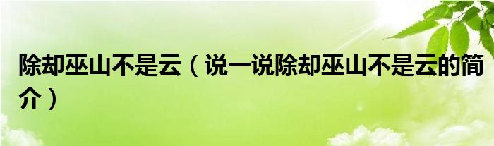 除却巫山不是云（说一说除却巫山不是云的简介）