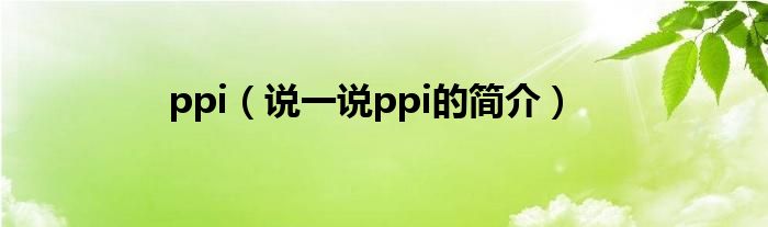 ppi（说一说ppi的简介）