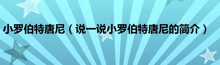小罗伯特唐尼（说一说小罗伯特唐尼的简介）