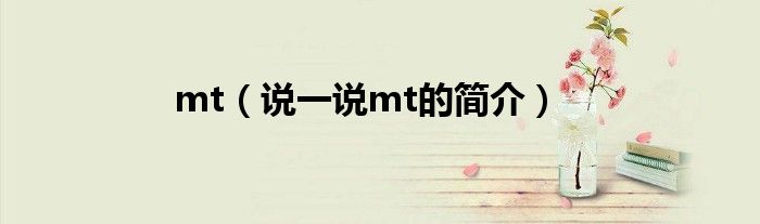 mt（说一说mt的简介）
