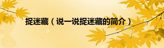 捉迷藏（说一说捉迷藏的简介）