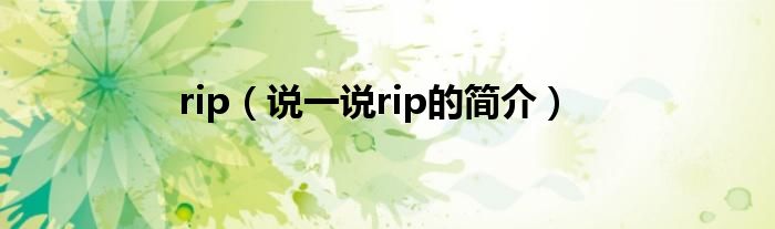 rip（说一说rip的简介）