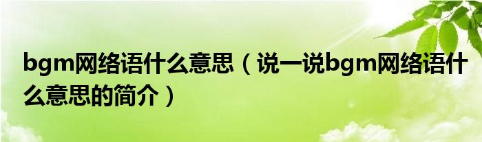 bgm网络语什么意思（说一说bgm网络语什么意思的简介）
