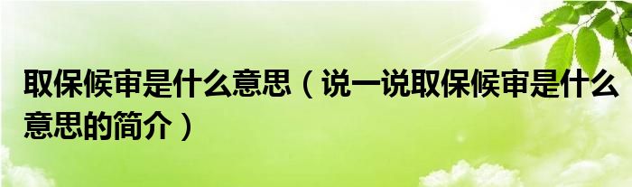 取保候审是什么意思（说一说取保候审是什么意思的简介）