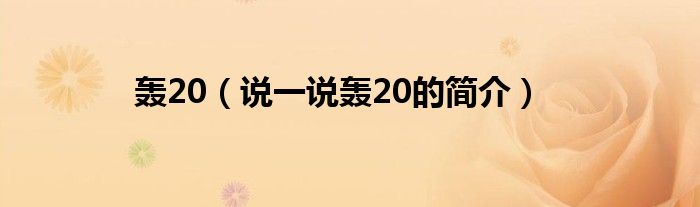 轰20（说一说轰20的简介）