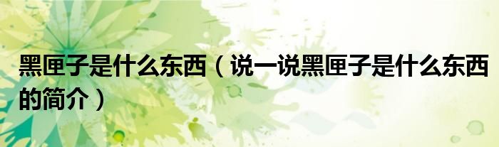 黑匣子是什么东西（说一说黑匣子是什么东西的简介）