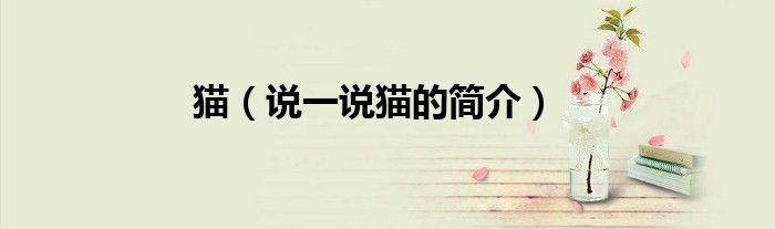 猫（说一说猫的简介）