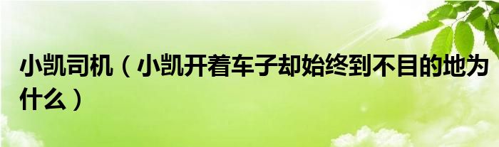 小凯司机（小凯开着车子却始终到不目的地为什么）