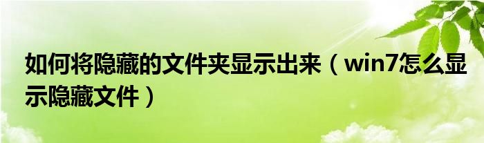 如何将隐藏的文件夹显示出来（win7怎么显示隐藏文件）
