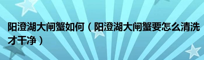 阳澄湖大闸蟹如何（阳澄湖大闸蟹要怎么清洗才干净）