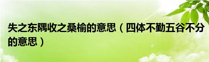 失之东隅收之桑榆的意思（四体不勤五谷不分的意思）