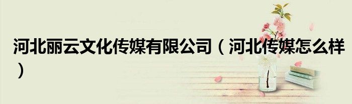 河北丽云文化传媒有限公司（河北传媒怎么样）