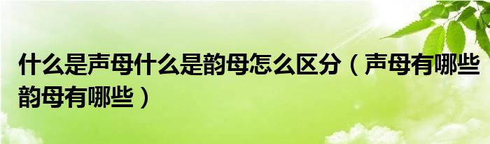 什么是声母什么是韵母怎么区分（声母有哪些韵母有哪些）