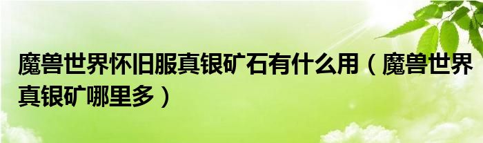 魔兽世界怀旧服真银矿石有什么用（魔兽世界真银矿哪里多）