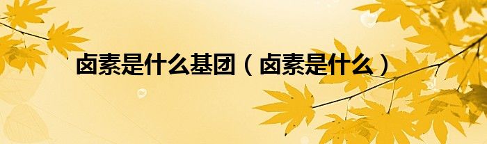 卤素是什么基团（卤素是什么）