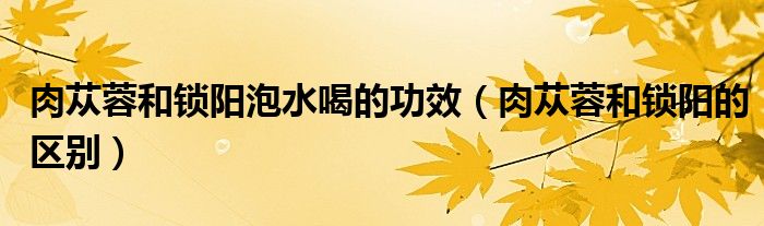 肉苁蓉和锁阳泡水喝的功效（肉苁蓉和锁阳的区别）