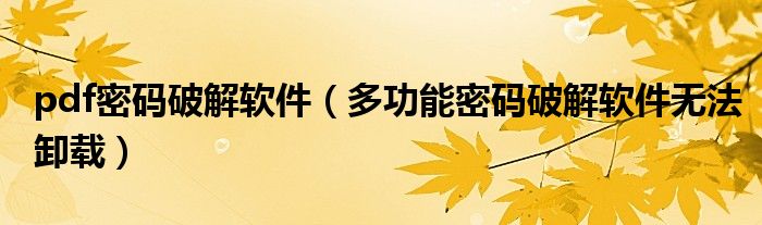 pdf密码破解软件（多功能密码破解软件无法卸载）