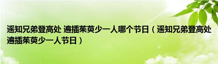 遥知兄弟登高处 遍插茱萸少一人哪个节日（遥知兄弟登高处遍插茱萸少一人节日）