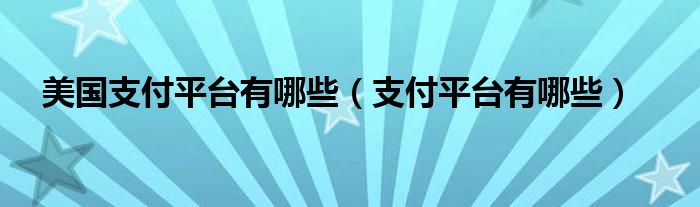 美国支付平台有哪些（支付平台有哪些）