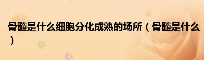 骨髓是什么细胞分化成熟的场所（骨髓是什么）