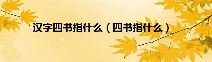 汉字四书指什么（四书指什么）