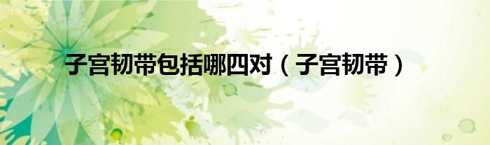 子宫韧带包括哪四对（子宫韧带）