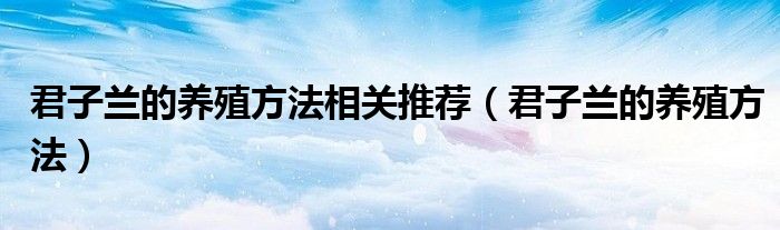 君子兰的养殖方法相关推荐（君子兰的养殖方法）