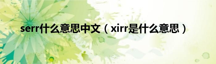 serr什么意思中文（xirr是什么意思）