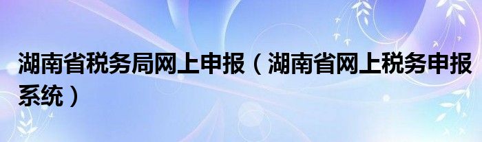 湖南省税务局网上申报（湖南省网上税务申报系统）