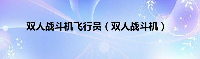 双人战斗机飞行员（双人战斗机）