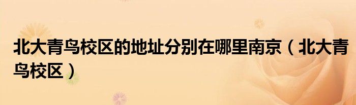北大青鸟校区的地址分别在哪里南京（北大青鸟校区）