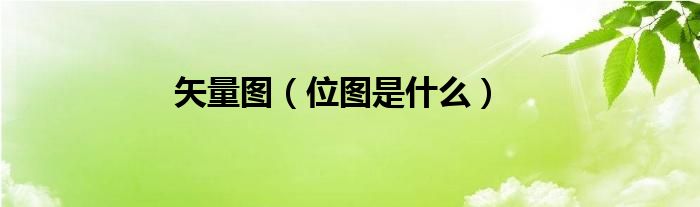 矢量图（位图是什么）