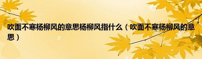 吹面不寒杨柳风的意思杨柳风指什么（吹面不寒杨柳风的意思）