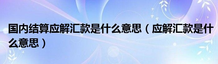 国内结算应解汇款是什么意思（应解汇款是什么意思）