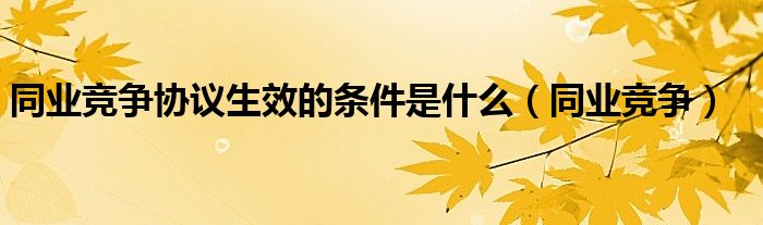 同业竞争协议生效的条件是什么（同业竞争）