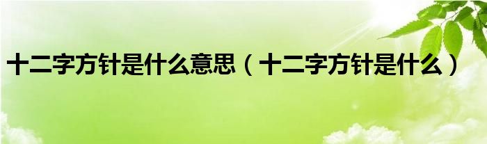 十二字方针是什么意思（十二字方针是什么）