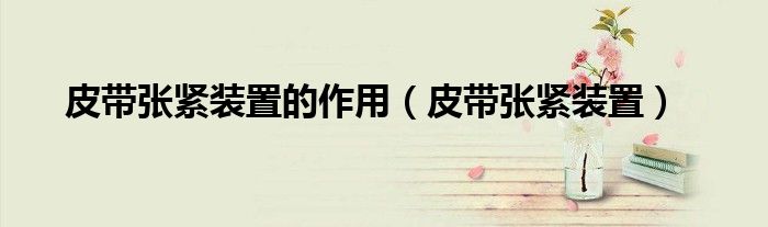 皮带张紧装置的作用（皮带张紧装置）