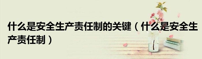 什么是安全生产责任制的关键（什么是安全生产责任制）
