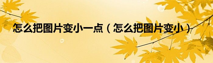 怎么把图片变小一点（怎么把图片变小）
