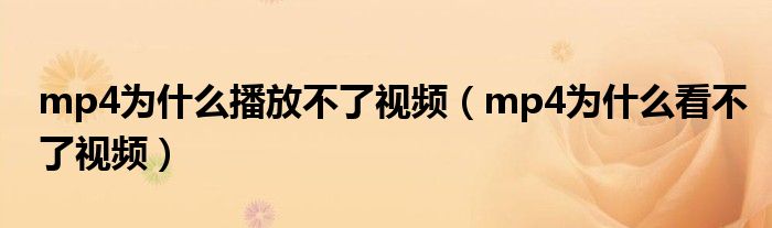 mp4为什么播放不了视频（mp4为什么看不了视频）