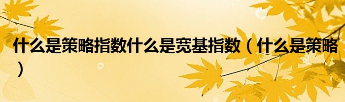 什么是策略指数什么是宽基指数（什么是策略）