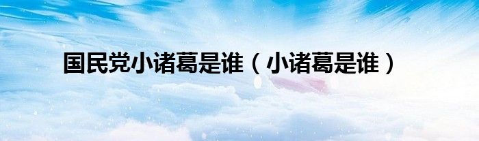 国民党小诸葛是谁（小诸葛是谁）